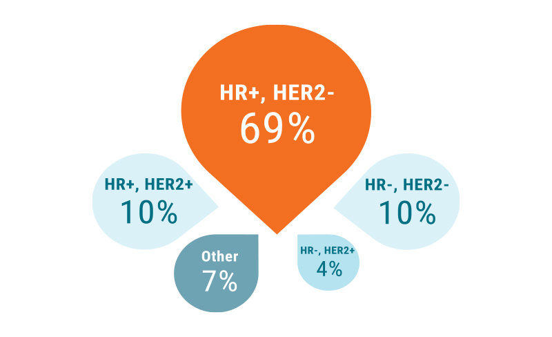 Image showing that HR+, HER- impacts 69% of all people with mbc. 10% of all people with mbc have HR+, HER2+, 10% have HR-,HER2-, 4% have HR-, HER2+ and 7% have other.
