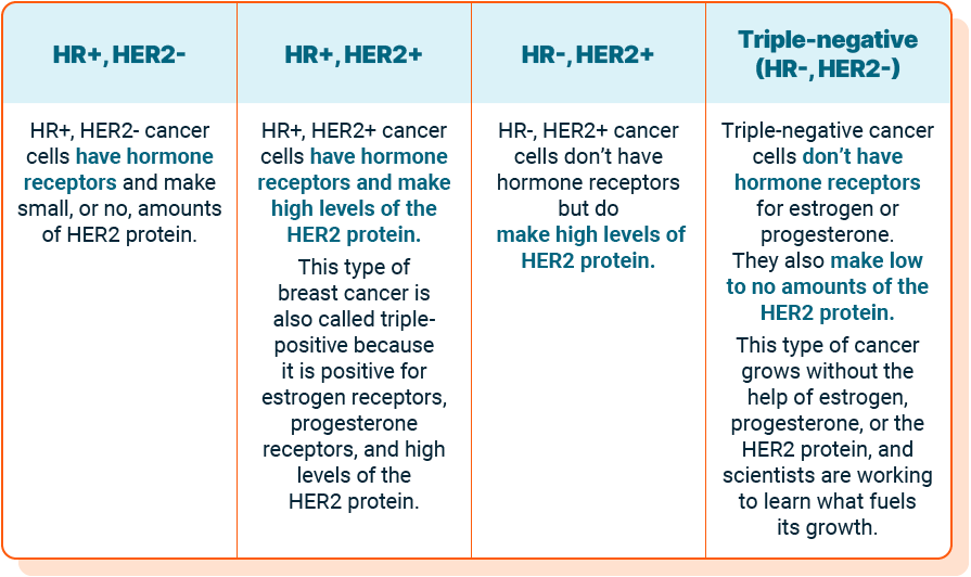A table detailing the four subtypes of breast cancer: HR+ HER2-, HR+ HER2+, HR- HER2+, and Triple Negative (HR- HER2-).