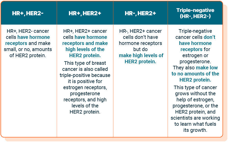 Four subtypes of breast cancer. HR+, HER2- HR+, HER2+ HR-, HER2+ and triple-negative (HR-, HER2-)